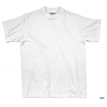 NAPOLI Koszulka t-shirt 3 kolory - S-3XL.
