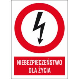 ZZ-1EZA - Znak elektryczny Niebezpieczeństwo dla życia.  - 105X148-74X105