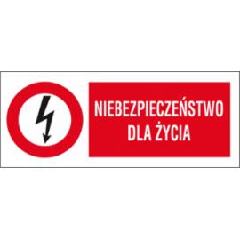 ZZ-1EZB - Znak elektryczny Niebezpieczeństwo dla życia.  - 74X210