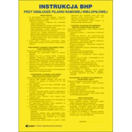 ZZ-IBD12 - Instrukcja BHP i PPOŻ BHP przy obsłudze pilarki ramowej wielopiłowej - 250x350